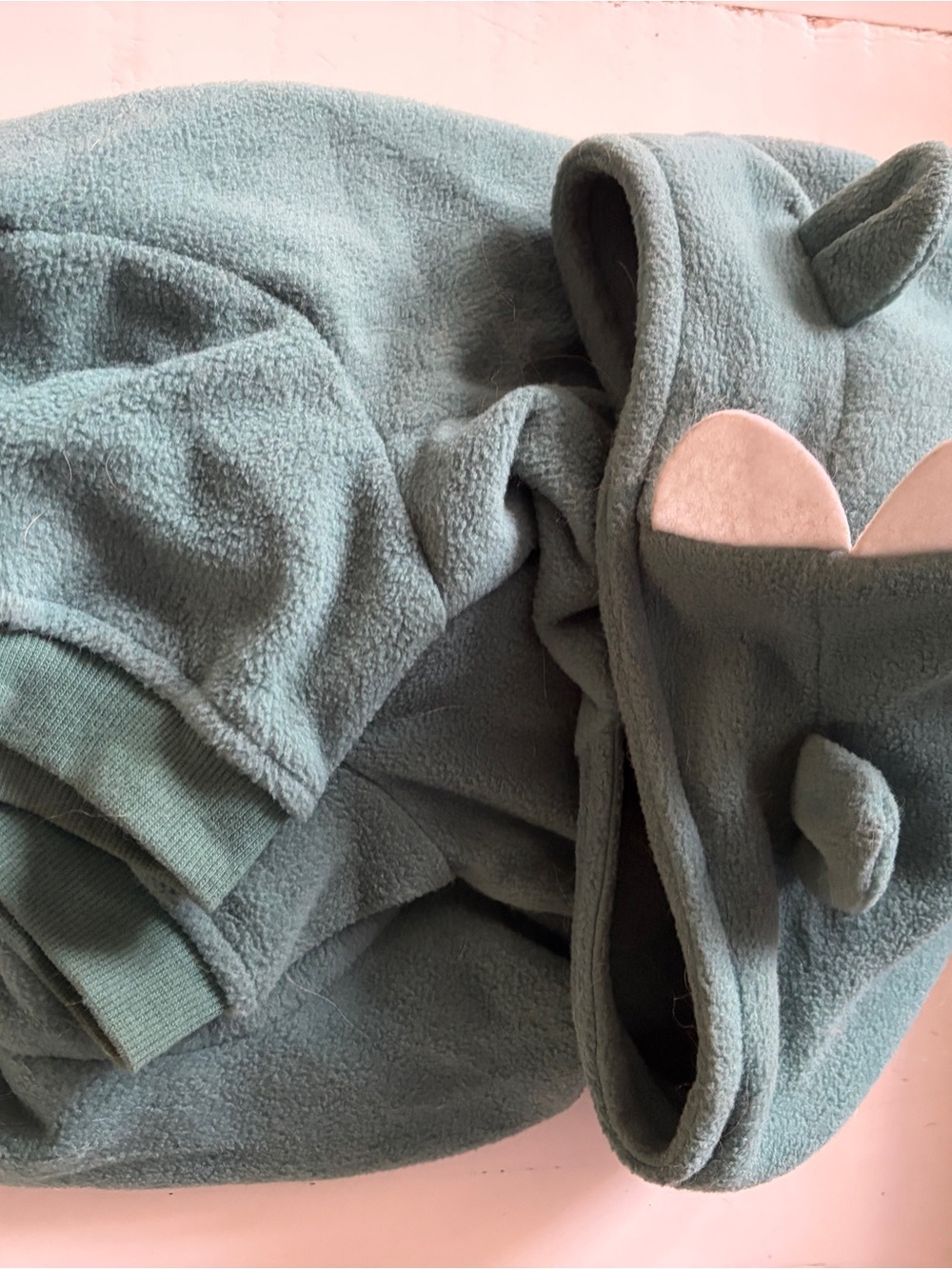 Kids Cozy Hooded Fleece Jacket in Sage Green